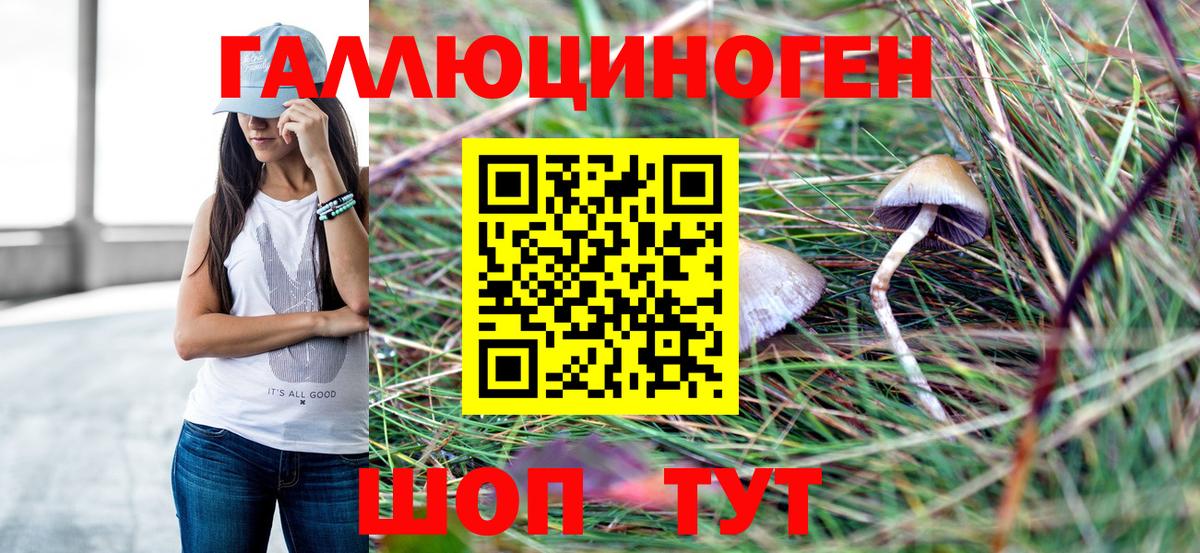 Галлюциногенные грибы Magic Shrooms  Вход с VPN  Псилоцибиновые грибы ЛСД  Котовск 